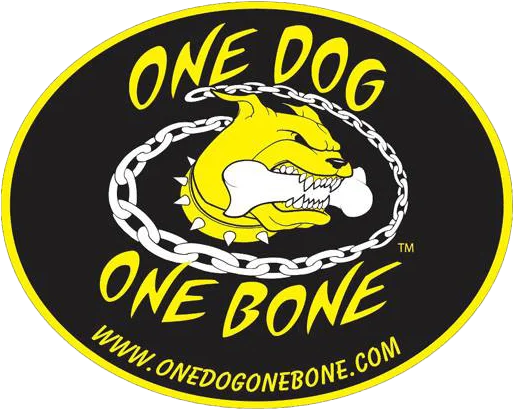 One dog one 2024 bone bone shaped pool