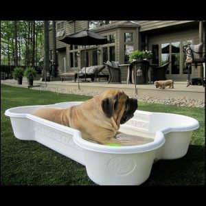 Dog laying a white bone pool